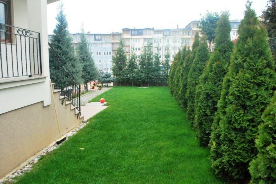 Image Alternative text