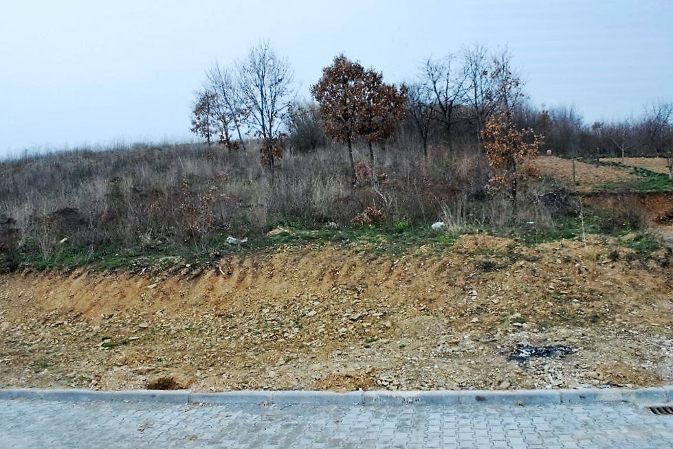 Image Alternative text