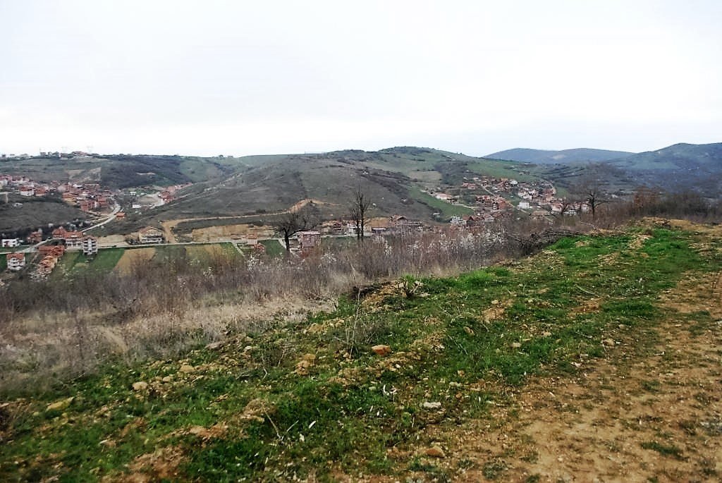 Image Alternative text