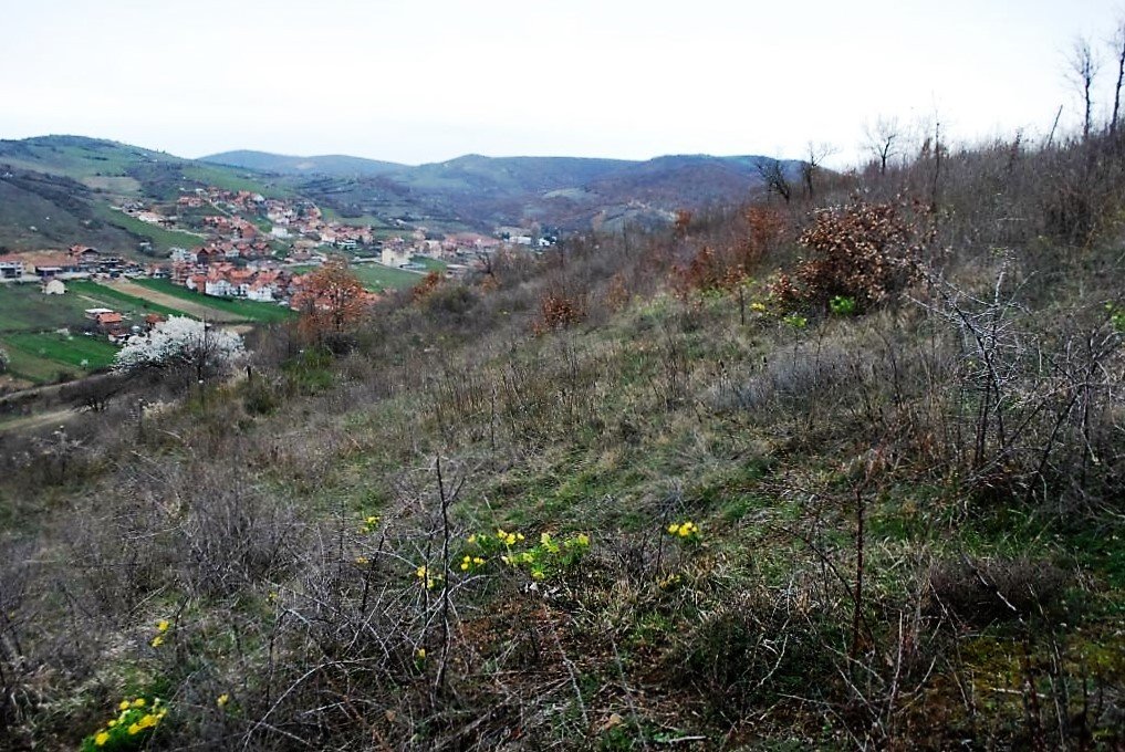 Image Alternative text