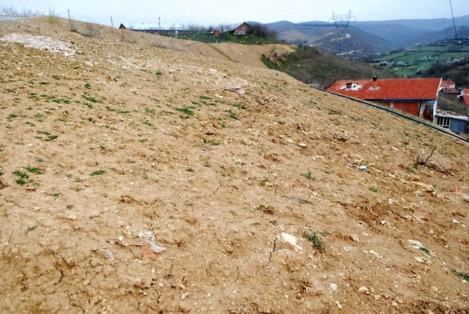 Image Alternative text