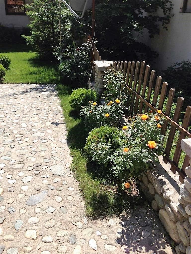 Image Alternative text