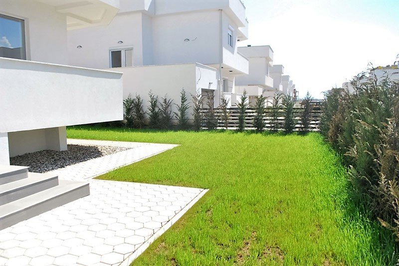 Image Alternative text