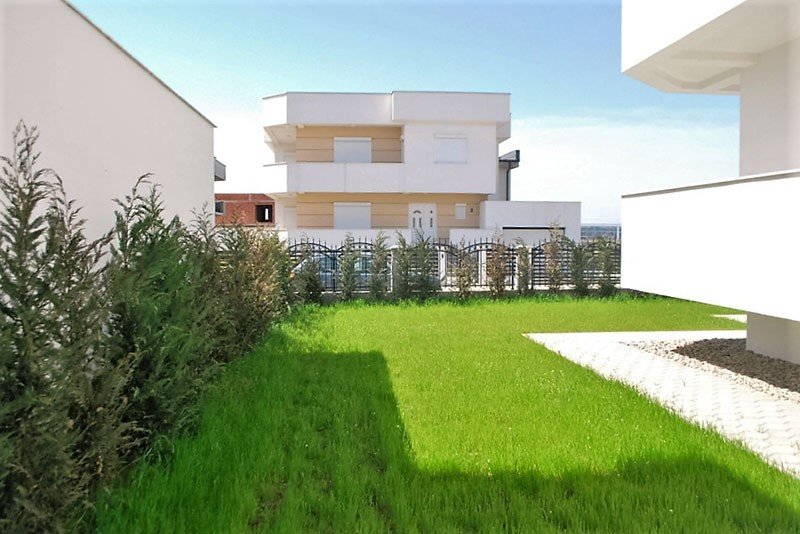 Image Alternative text