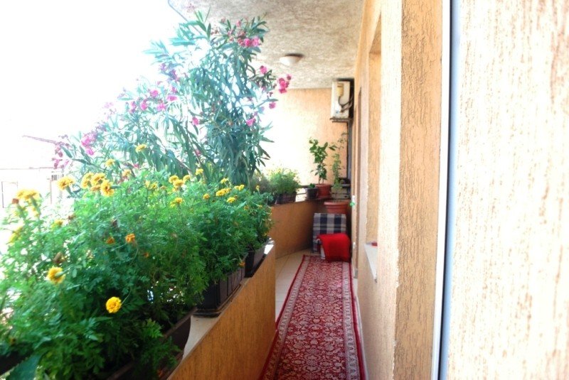 Image Alternative text