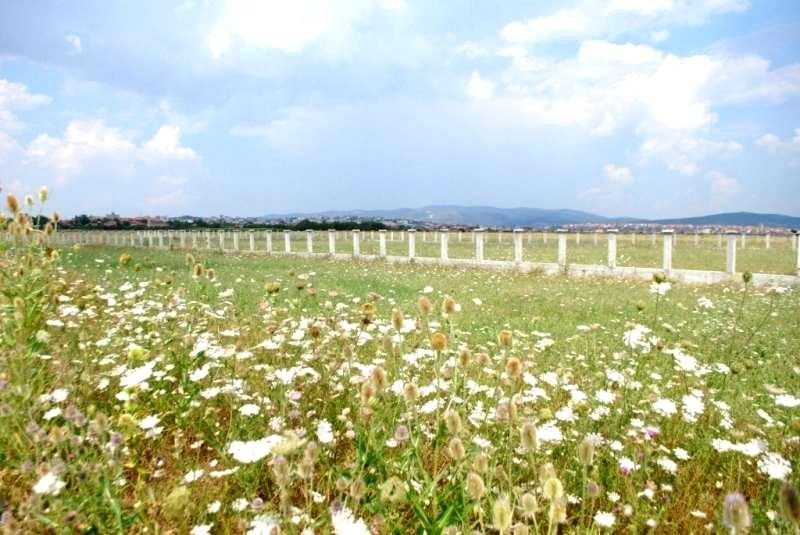 Image Alternative text